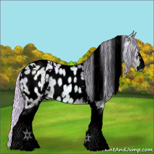 Horse Color:Void Watercolor Silver Sable Champagne Ice Sabino Tobiano Appaloosa 
