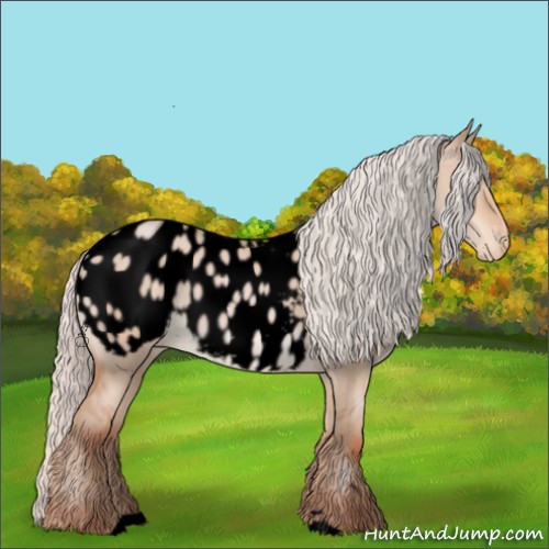 Horse Color:Void Silver Sable Champagne Dun Sabino Appaloosa 