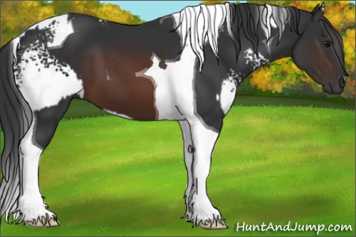 Horse Color:White Spotted Brown and Brown Tobiano