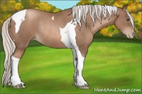 Horse Color:Silver Black Pearl Tobiano Rabicano 