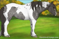 Horse Color:Smoky Black Tobiano Rabicano 