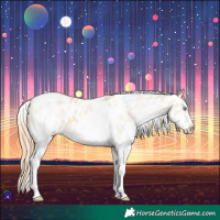 Horse Color:White Spotted Buckskin Pearl Tobiano Appaloosa Rabicano 