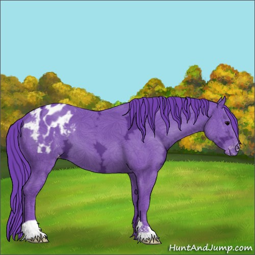 Horse Color:Watercolor Black Ice Appaloosa 