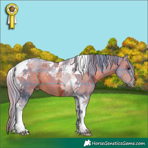 Horse Color:Watercolor Plaid  Brown Ice Tobiano 