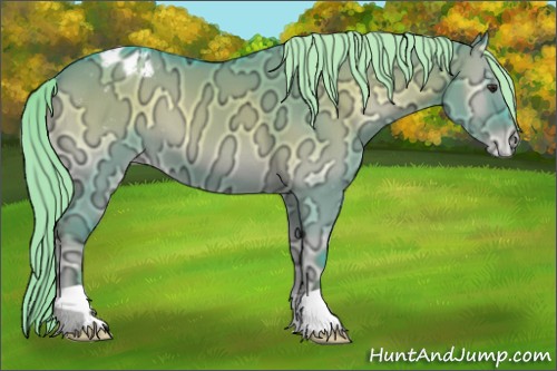 Horse Color:Watercolor Liver Red Dun Ice Onyx Appaloosa 