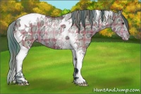 Horse Color:Watercolor Plaid Brown Ice Dun Tobiano Varnish