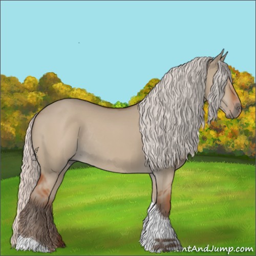 Horse Color:Silver Bay Dun Tobiano Rabicano