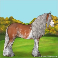 Horse Color:Silver Brown Sabino