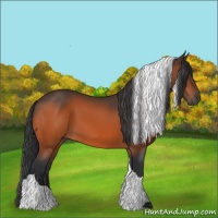 Horse Color:Bay Tobiano 