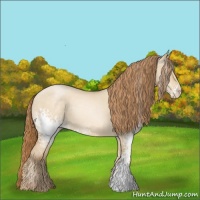 Horse Color:White Spotted Smoky Grullo Pearl