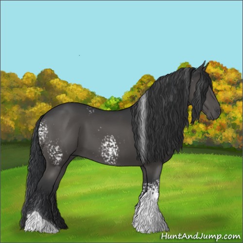 Horse Color:White Spotted Black Tobiano 