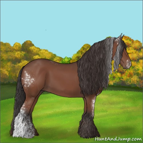 Horse Color:White Spotted Bay