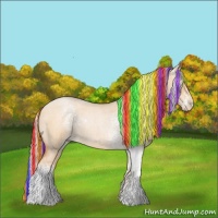 Horse Color:Painted White Spotted Silver Bay Roan Pearl Dun Rabicano 