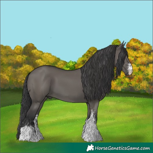 Horse Color:White Spotted Grullo Tobiano 