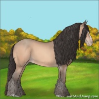 Horse Color:Amber Champagne Sabino 