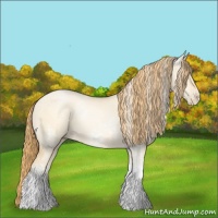 Horse Color:White Spotted Buckskin Pearl Dun 