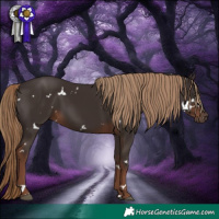 Horse Color:White Spotted Liver Chestnut 