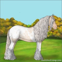 Horse Color:Silver Amber Champagne Ice Dun Tobiano Appaloosa 