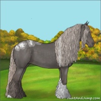 Horse Color:Silver Black Ice Tobiano 