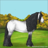 Horse Color:Bay Chinchilla Ice