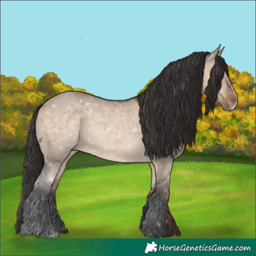 Horse Color:Brown Dun