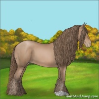 Horse Color:Black Pearl 