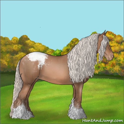 Horse Color:Silver Black Pearl Tobiano Appaloosa