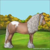 Horse Color:Silver Black Snowdrop Pearl Tobiano Snowcap 