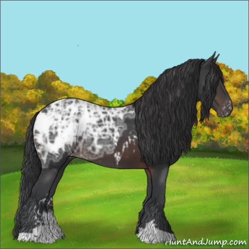 Horse Color:Brown Ice Sabino Appaloosa