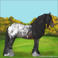 Horse Color:Brown Ice Sabino Blanket 