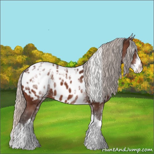 Horse Color:White Spotted Silver Brown Ice Tobiano Appaloosa 