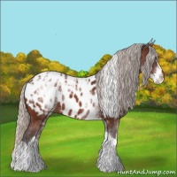 Horse Color:White Spotted Silver Brown Ice Tobiano Appaloosa 