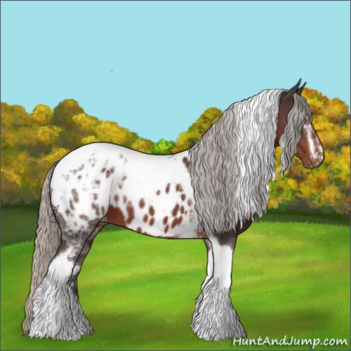 Horse Color:White Spotted Silver Brown Ice Tobiano Near Leopard 