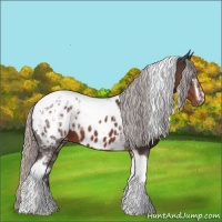 Horse Color:White Spotted Silver Brown Ice Tobiano Near Leopard 