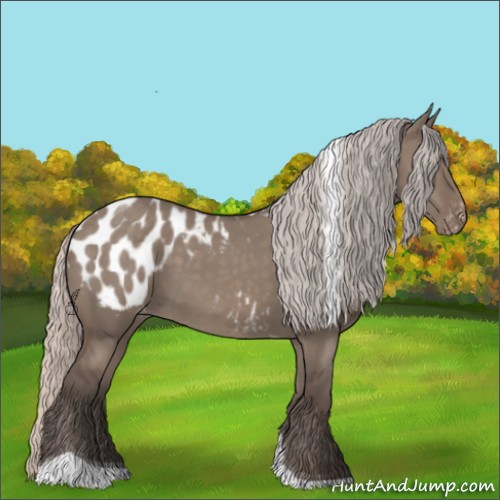 Horse Color:Silver Grullo Tobiano Appaloosa 