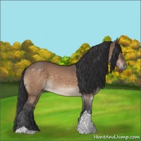 Horse Color:Bay Dun Tobiano Rabicano