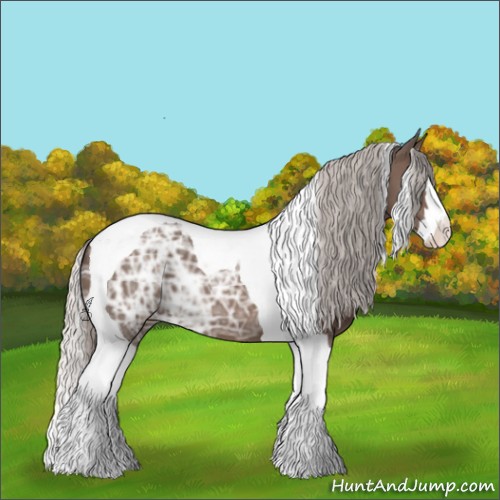 Horse Color:Silver Black Ice Splash Tobiano