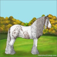 Horse Color:Silver Black Ice Splash Tobiano 