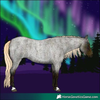 Horse Color:Midnight Palomino Ice Roan Dun 