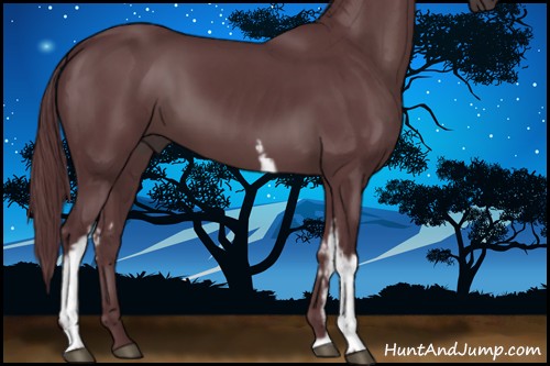 Horse Color:White Spotted Chocolate Black 