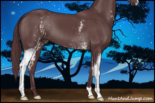 Horse Color:White Spotted Chocolate Black 