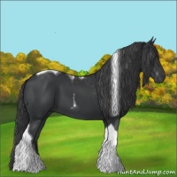 Horse Color:Black Tobiano 
