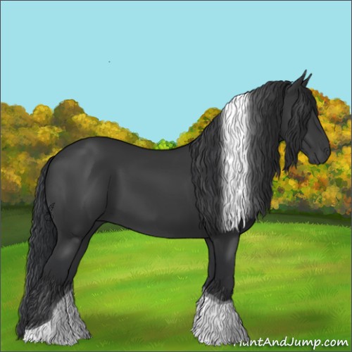 Horse Color:Black Tobiano 