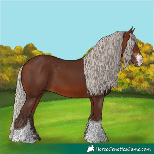 Horse Color:Silver Brown Sabino Tobiano