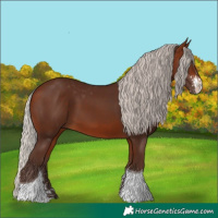 Horse Color:Silver Brown Sabino Tobiano