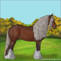 Horse Color:Silver Brown Sabino Tobiano 