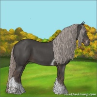 Horse Color:Silver Black Sabino Tobiano 