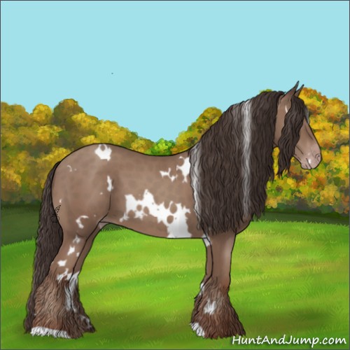 Horse Color:White Spotted Classic Champagne 