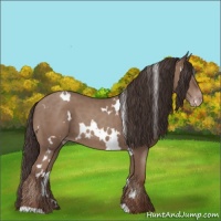 Horse Color:White Spotted Classic Champagne 