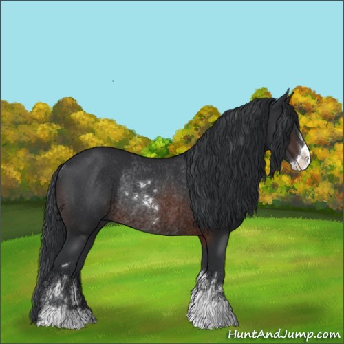 Horse Color:Brown Sabino Rabicano